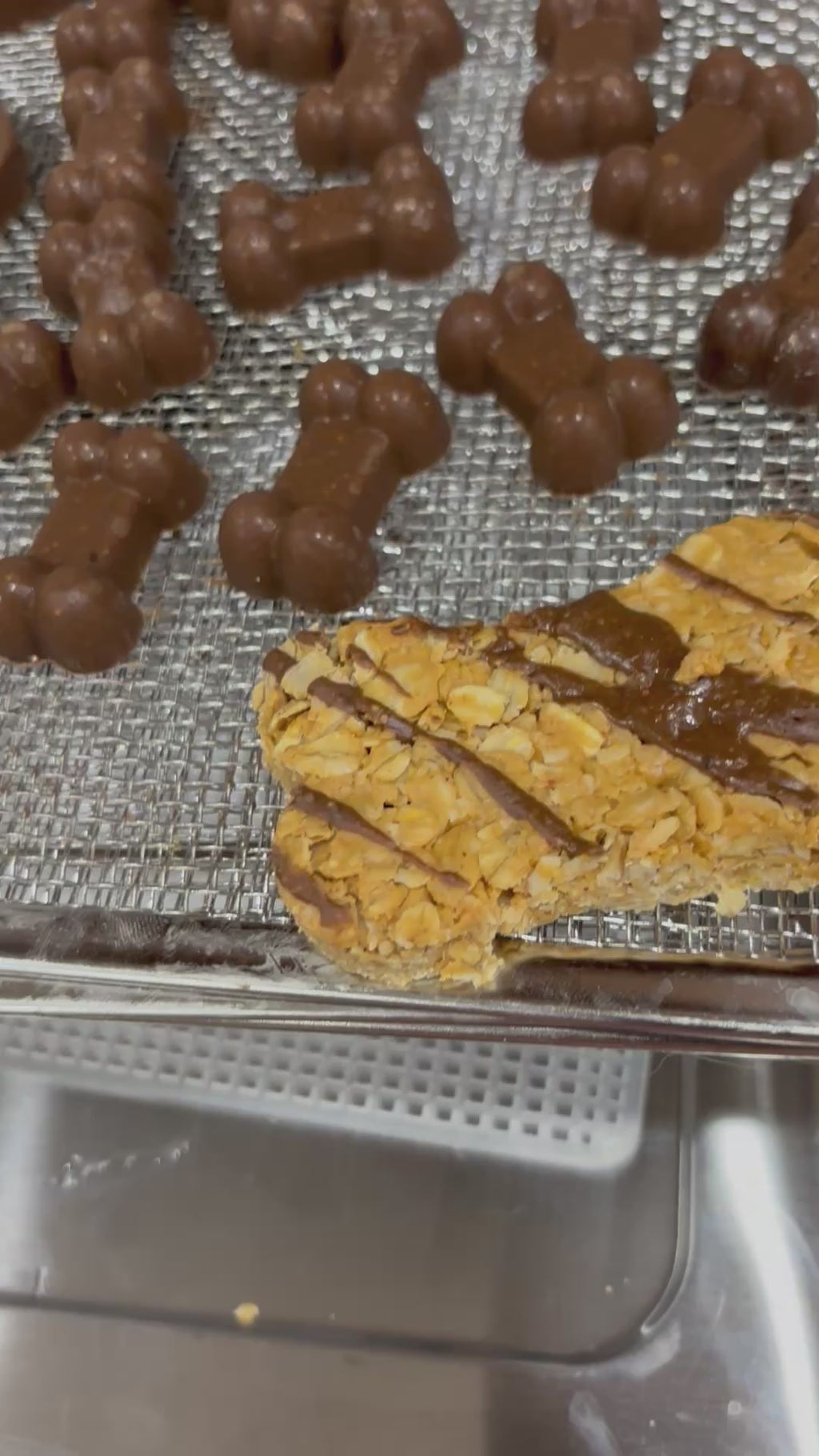 Chocolate Bites