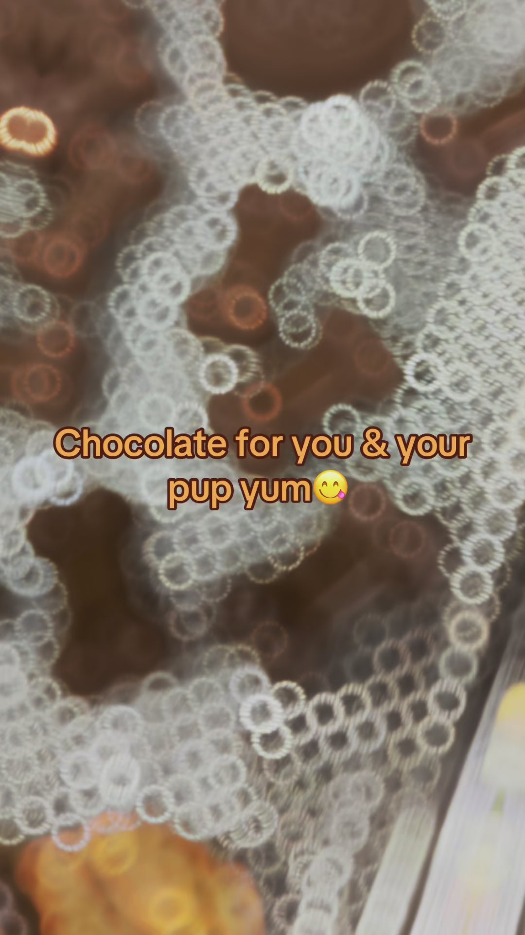 Chocolate bites for dogs